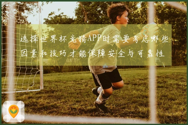 选择世界杯竞猜APP时需要考虑哪些因素和技巧才能保障安全与可靠性