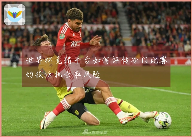 世界杯竞猜平台如何评估冷门比赛的投注机会和风险