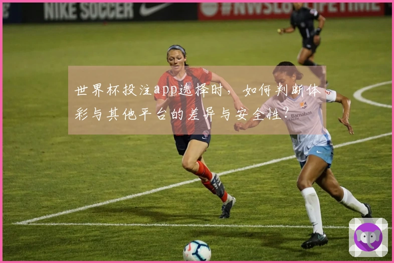 世界杯投注app选择时，如何判断体彩与其他平台的差异与安全性？