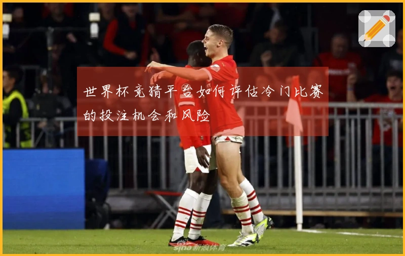 世界杯竞猜平台如何评估冷门比赛的投注机会和风险